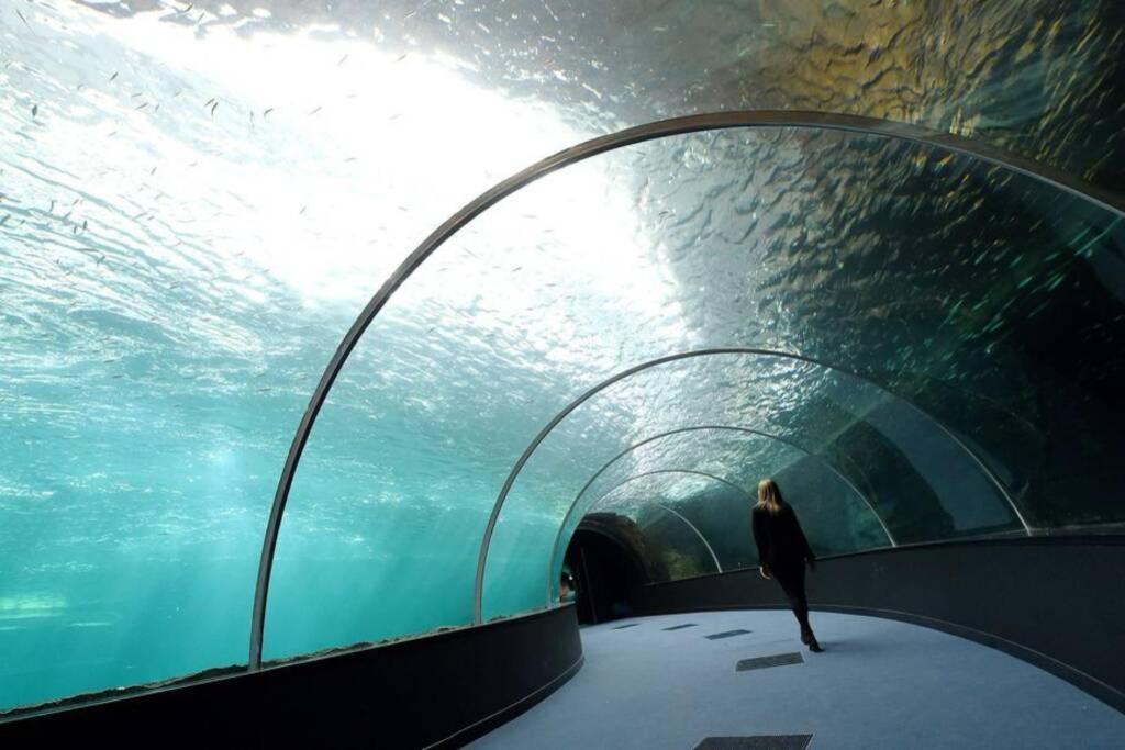 La Perle Marine :Boulogne Sur Mer Exteriér fotografie