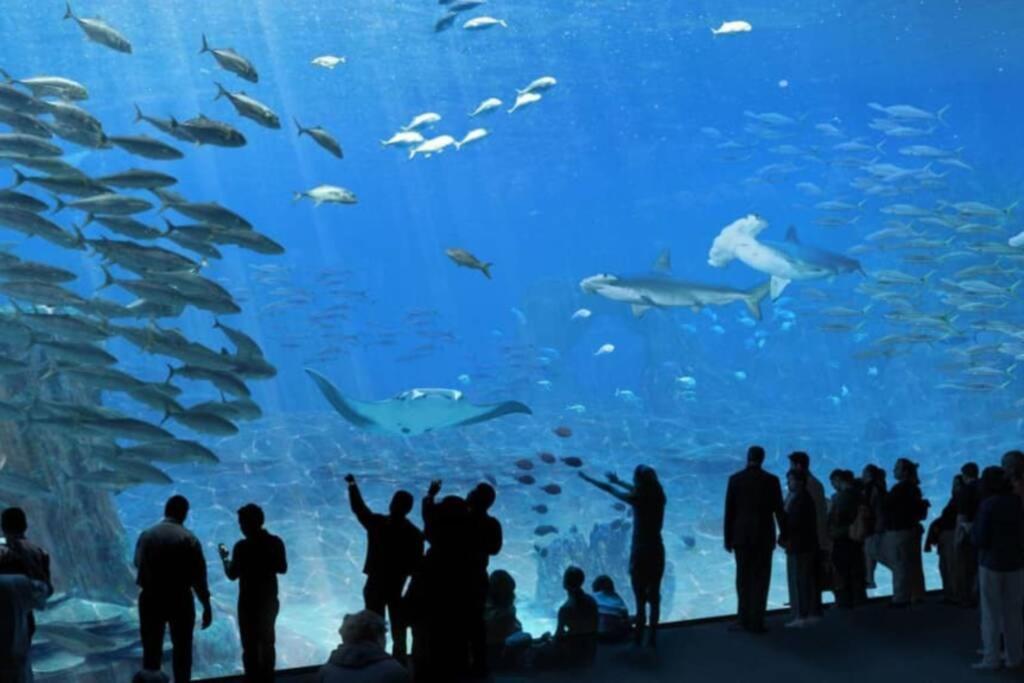 La Perle Marine :Boulogne Sur Mer Exteriér fotografie
