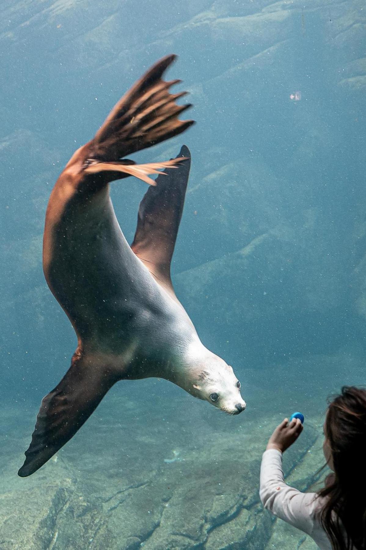 La Perle Marine :Boulogne Sur Mer Exteriér fotografie